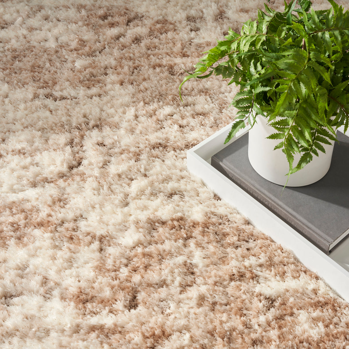 Nourison Home Dreamy Shag Drs10 Area Rugs Collection