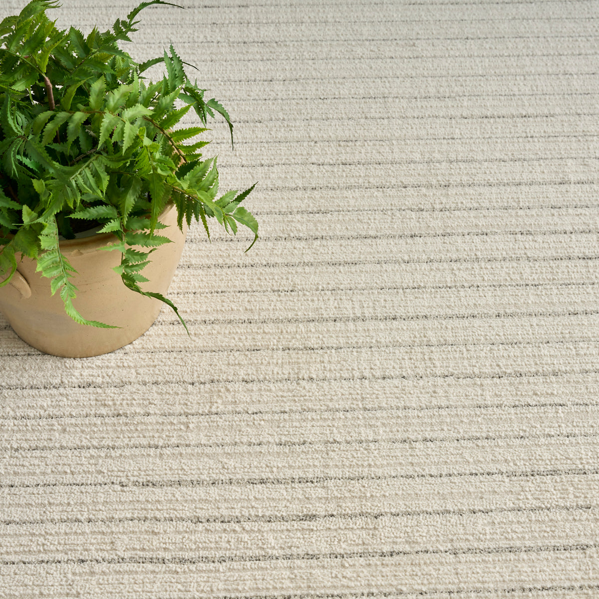 Nourison Home Ivory Hues Ivh04 Area Rugs Collection