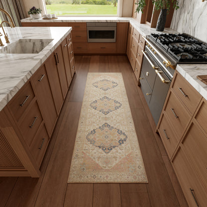 Nourison Home Vintage Washables Vws15 Area Rugs Collection