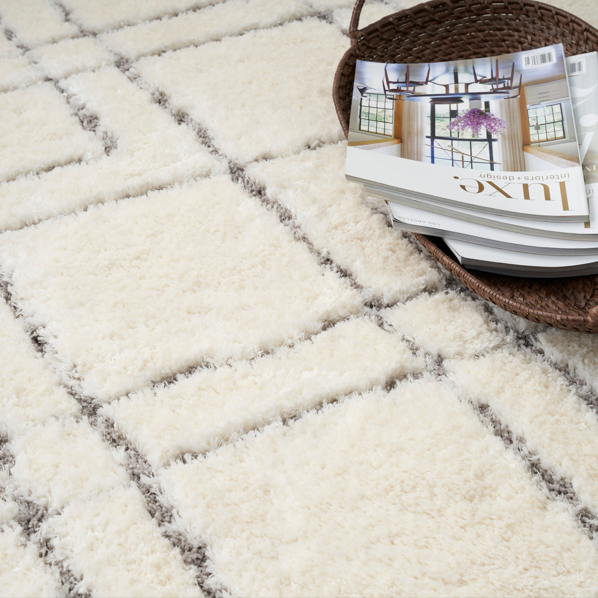 Nourison Home Dreamy Shag Drs07 Area Rugs Collection