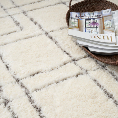 Nourison Home Dreamy Shag Drs07 Area Rugs Collection