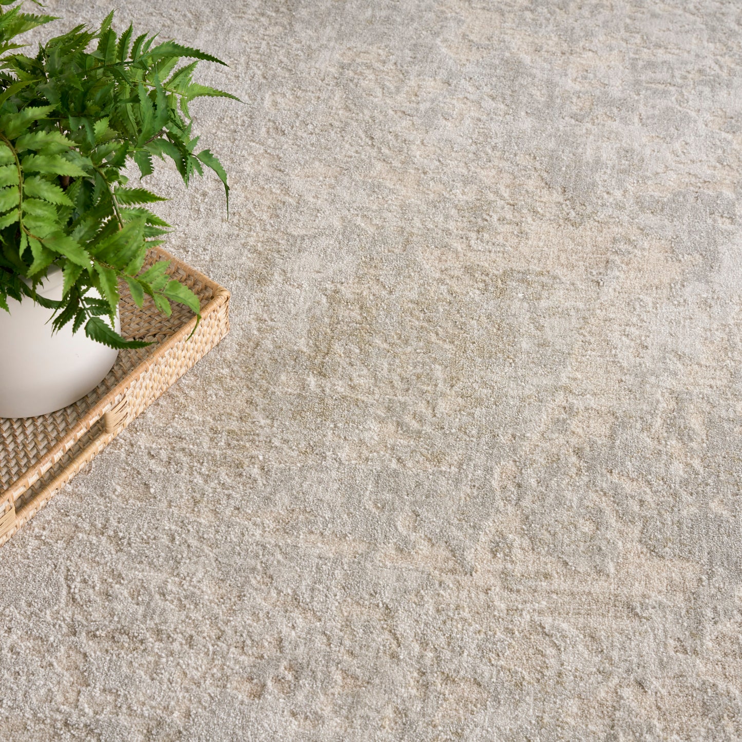 Nourison Home Envy Evv01 Area Rugs Collection