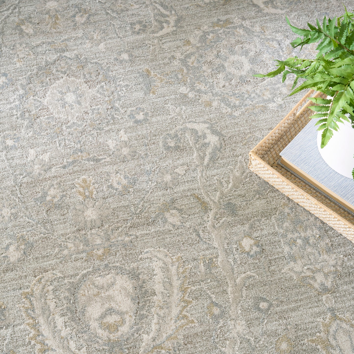 Nourison Home Envy Evv02 Area Rugs Collection