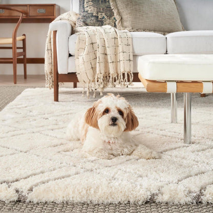 Nourison Home Dreamy Shag Drs07 Area Rugs Collection