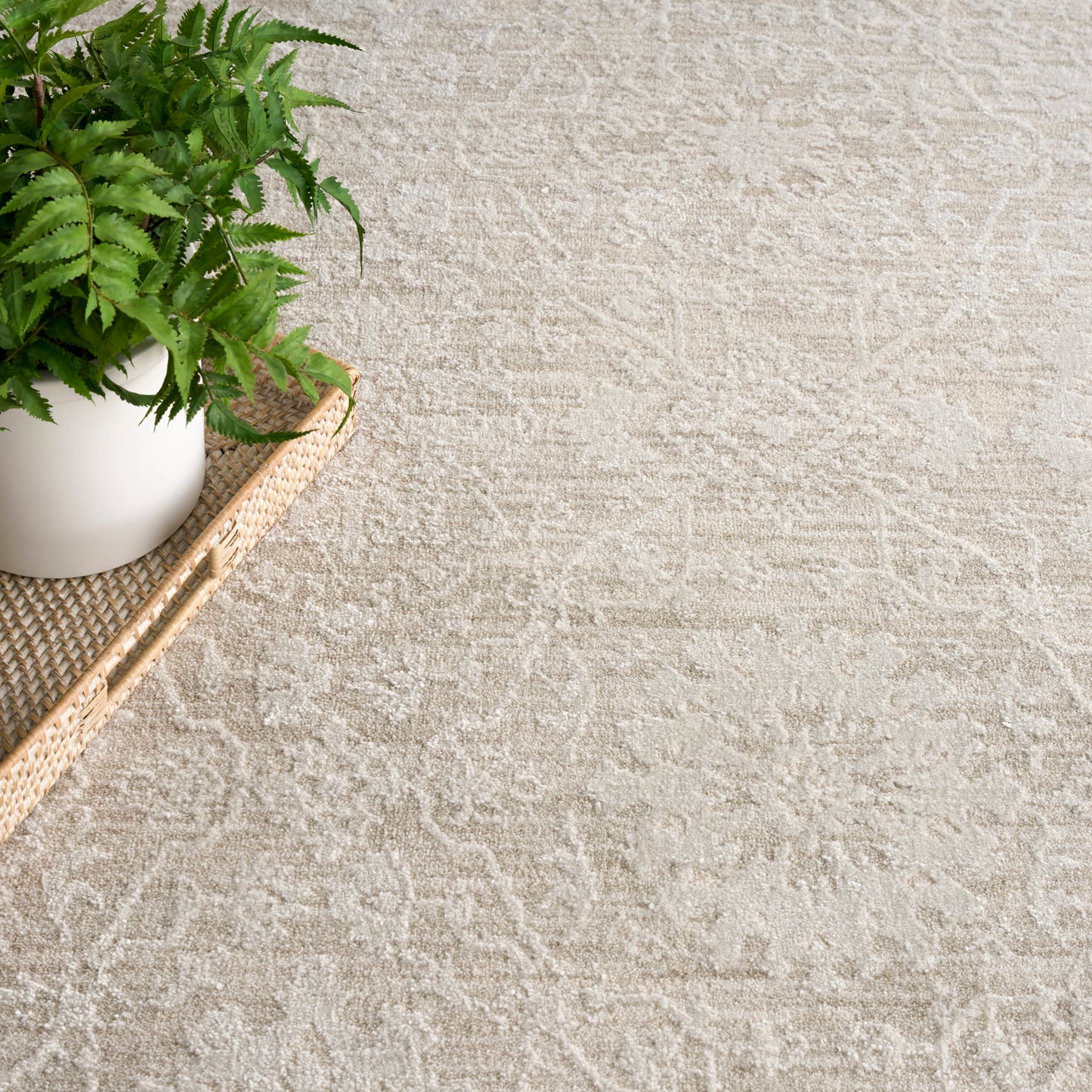 Nourison Home Envy Evv05 Area Rugs Collection