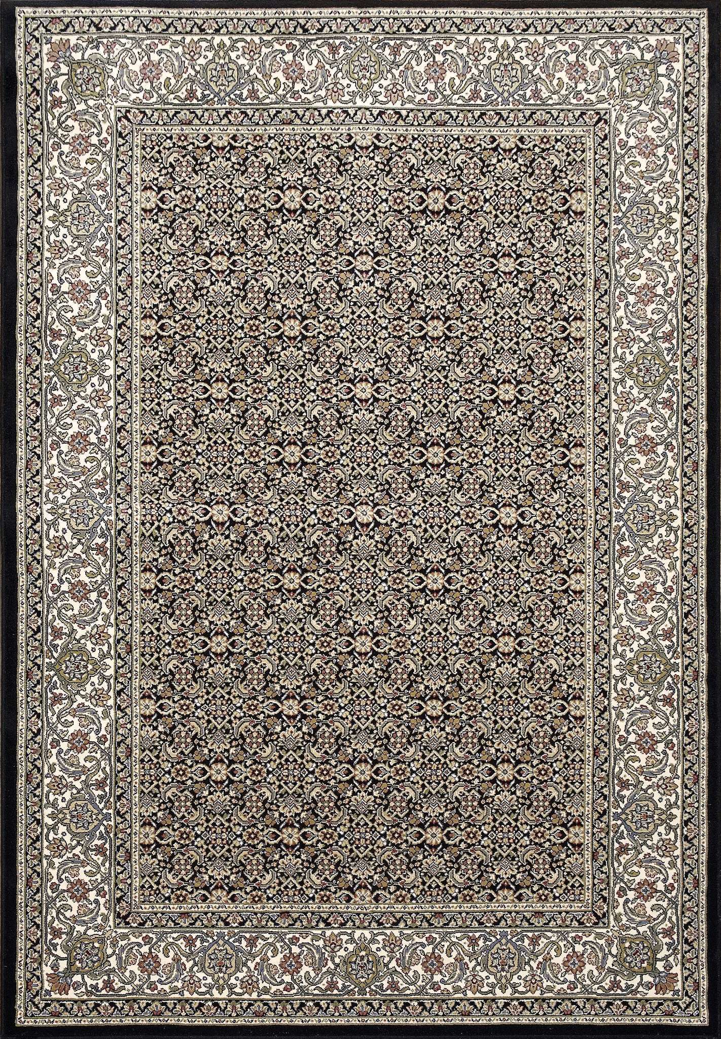 Dynamic Ancient Garden 57011 Black-Ivory Area Rug Collection