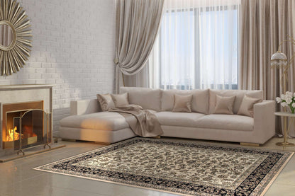Dynamic Brilliant 72284 Ivory Area Rug Collection