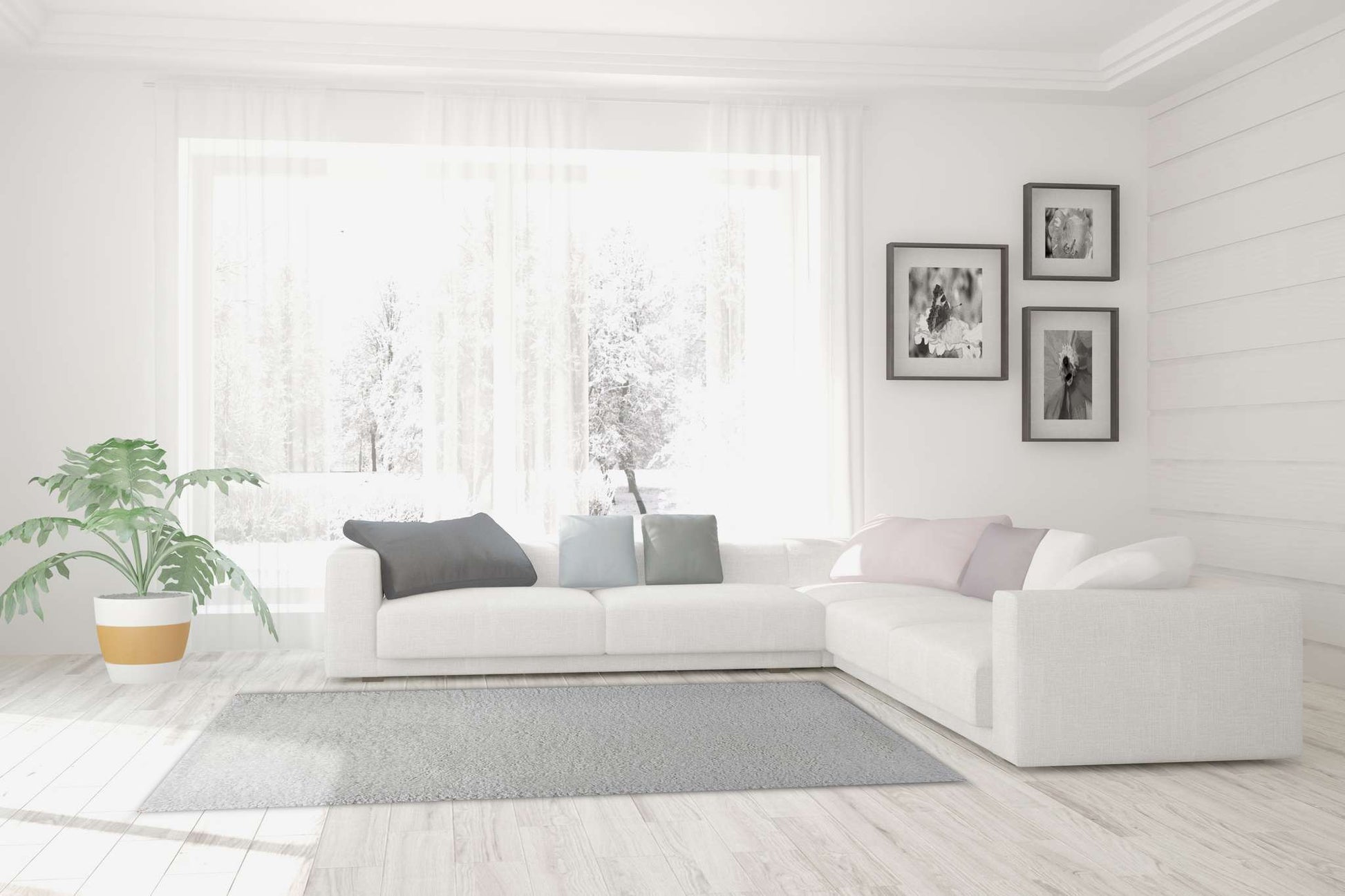 Dynamic Forte 88601 White Area Rug Collection