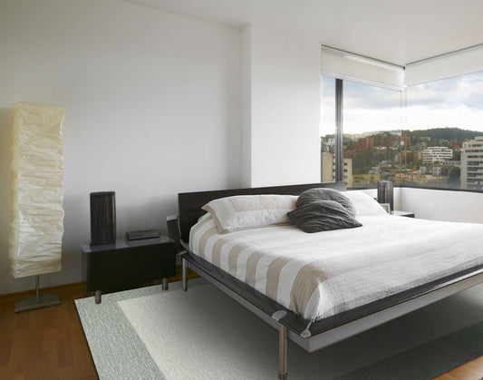 Dynamic Sherpa 49003 Light Grey Area Rug Collection